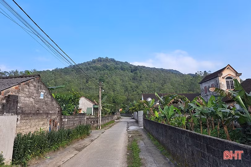 Nuôi ong dưới chân núi Hồng cho thu nhập khá