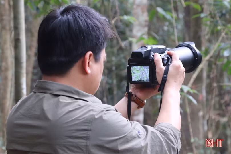 “Trợ thủ” phát hiện voi và nhiều động vật quý hiếm tại Vườn Quốc gia Vũ Quang