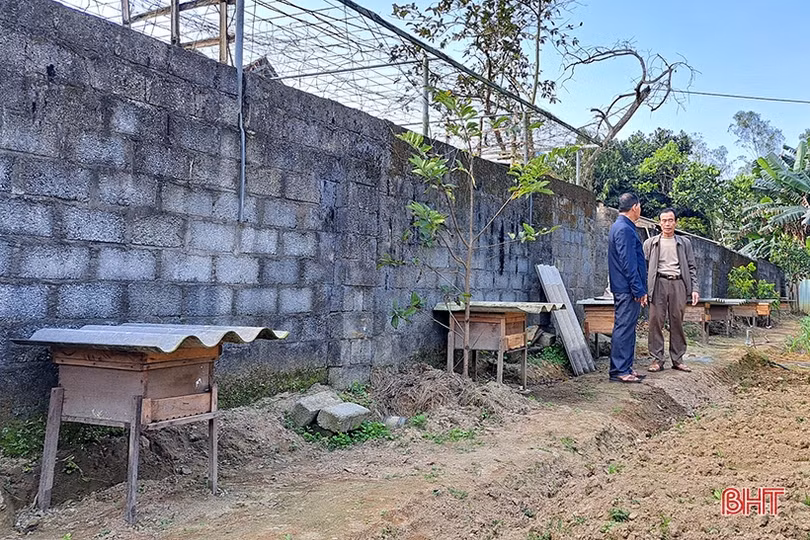 Nuôi ong dưới chân núi Hồng cho thu nhập khá