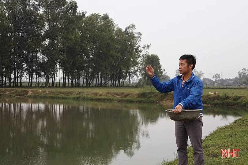 Nông dân Can Lộc nuôi tôm càng xanh cho hiệu quả cao