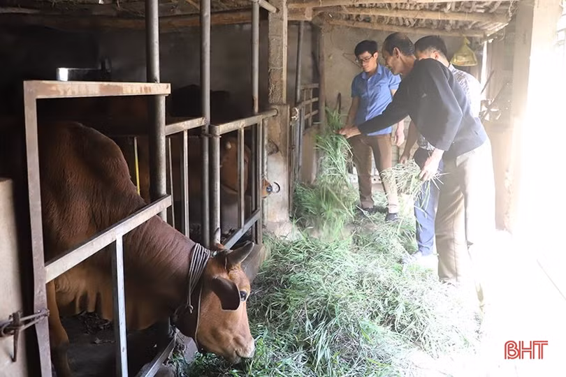 Vốn tín dụng chính sách tiếp sức cho hành trình phát triển kinh tế ở Đức Thọ