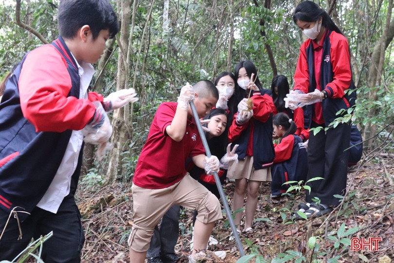 Học sinh Trường Ischool Hà Tĩnh trồng cây chống biến đổi khí hậu