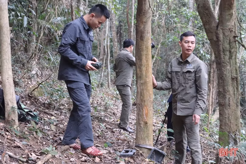 “Trợ thủ” phát hiện voi và nhiều động vật quý hiếm tại Vườn Quốc gia Vũ Quang