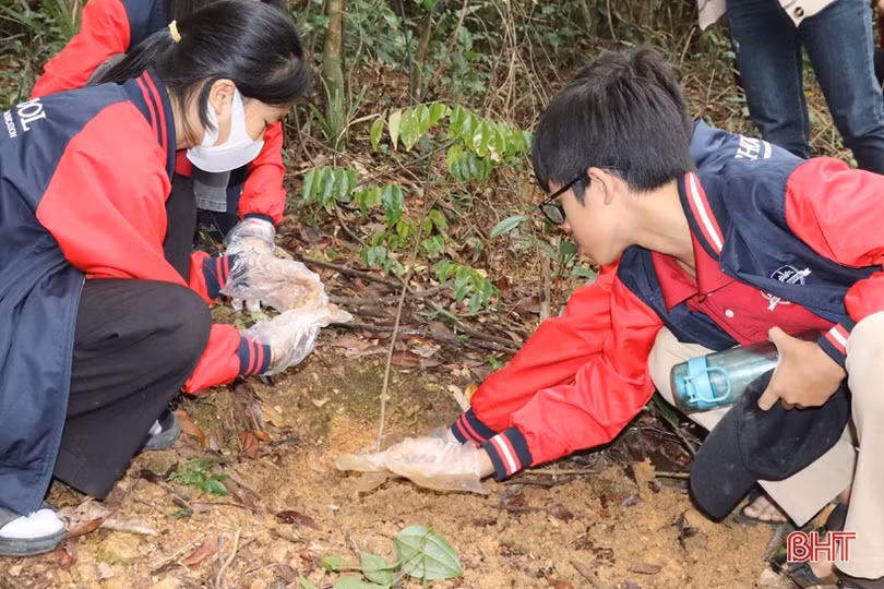 Học sinh Trường Ischool Hà Tĩnh trồng cây chống biến đổi khí hậu