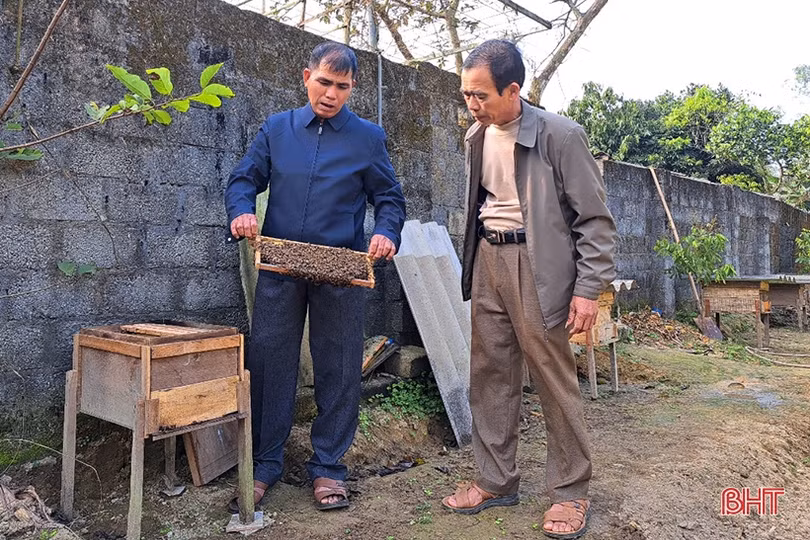 Nuôi ong dưới chân núi Hồng cho thu nhập khá