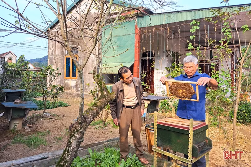 Nuôi ong dưới chân núi Hồng cho thu nhập khá