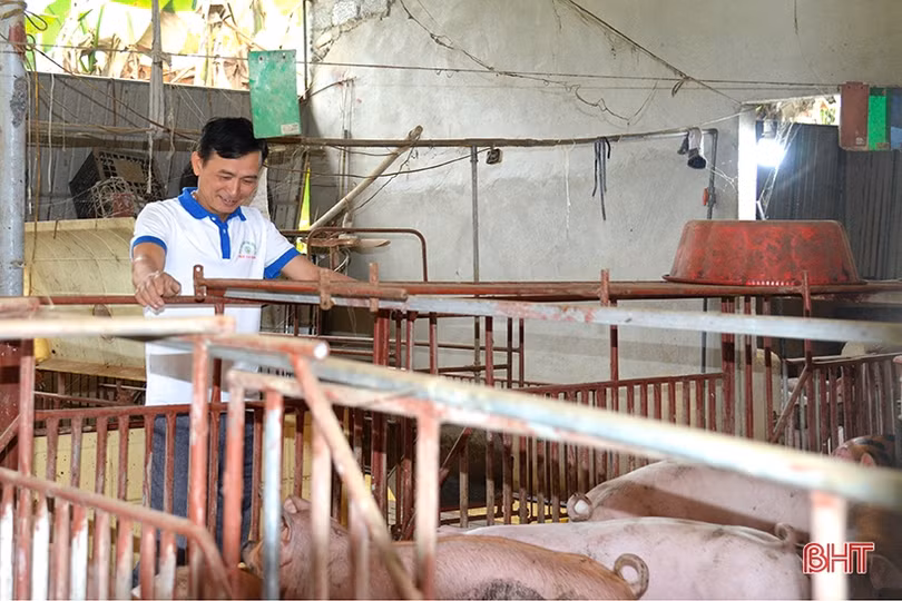 “Đổi đời” nhờ rẽ hướng trồng cam trên đất đồi Thượng Lộc