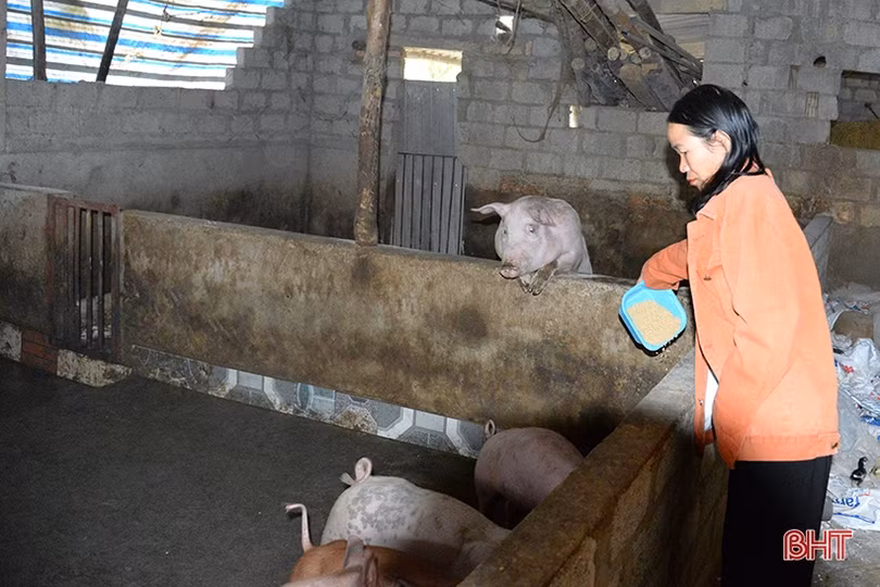 Chi hội trưởng phụ nữ “giỏi việc nước, đảm việc nhà” ở Can Lộc