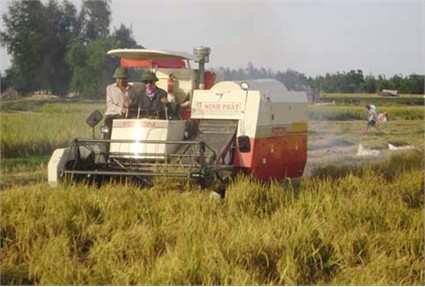 Máy gặt đập trên đồng ruộng thôn 1, xã Cẩm Thăng. Ảnh: Nguyễn Tâm Máy gặt đập trên đồng ruộng thôn 1, xã Cẩm Thăng. Ảnh: Nguyễn Tâm