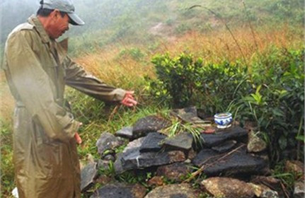 Vết tích bờ kè nền Trang Vương Vết tích bờ kè nền Trang Vương