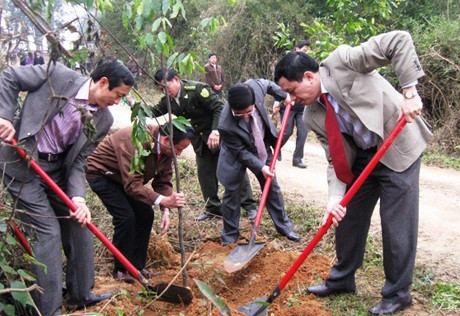 Phó Chủ tịch HĐND tỉnh Thiều Đình Duy cùng lãnh đạo Sở NN&PTNT, huyện Đức Thọ, chính quyền và nhân dân địa phương trồng cây hai bên đường lên Nghĩa trang liệt sỹ Trường Sơn
