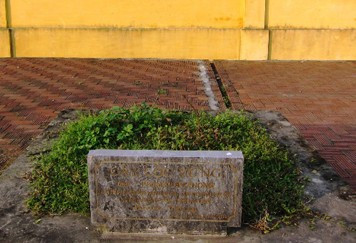 Bia còn, cây mất...