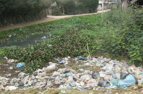 Rác thải trong chợ không được thu gom chôn lấp mà được đổ xuống ao bên cạnh