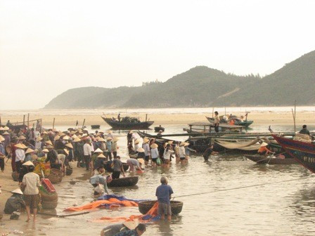 Bến cá Thạch Kim nhộn nhịp trở lại Bến cá Thạch Kim nhộn nhịp trở lại