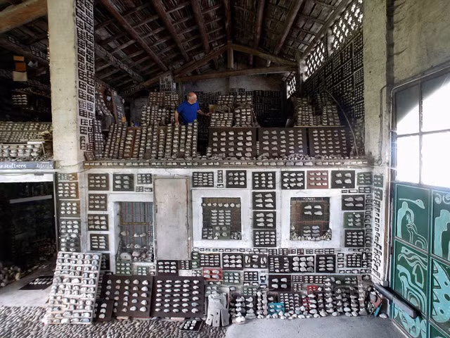 ky khoi bo anh ghi lai nhung so thich suu tap ky quai nhat