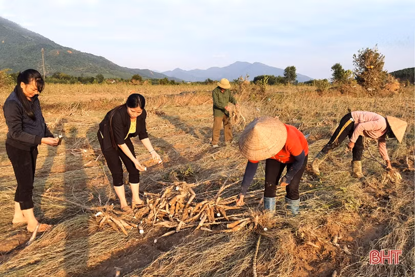 Người dân vùng thượng Kỳ Anh kể chuyện lở núi trong đêm, nhiều khối đá lớn rơi ầm ầm