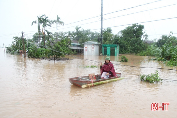 Phơi chữ!