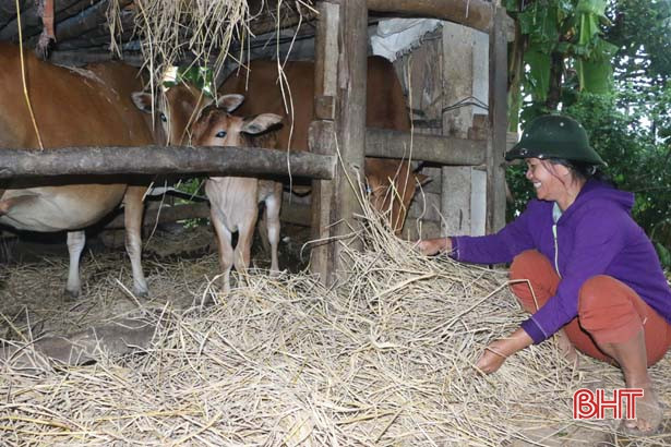 Huyện miền núi Hà Tĩnh chủ động ứng phó với bão số 8