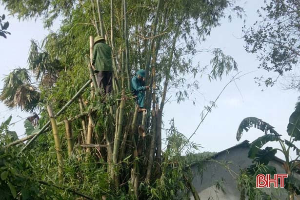 Huyện miền núi Hà Tĩnh chủ động ứng phó với bão số 8