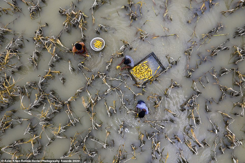 Nhiều ảnh chụp Việt Nam đoạt giải Aerial Photography Awards 2020