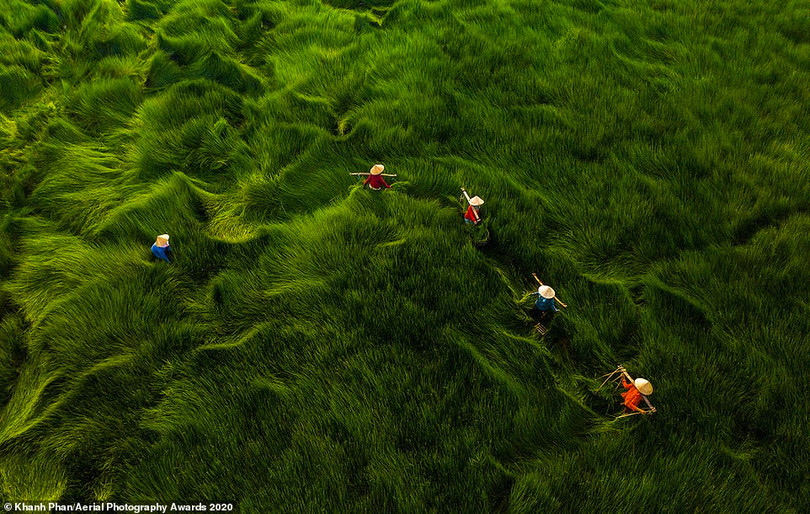 Nhiều ảnh chụp Việt Nam đoạt giải Aerial Photography Awards 2020