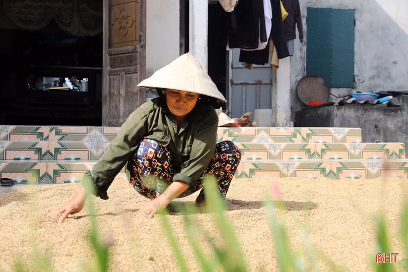 Hơn 1.000 cán bộ, chiến sĩ TX Kỳ Anh giúp dân khắc phục hậu quả mưa lũ