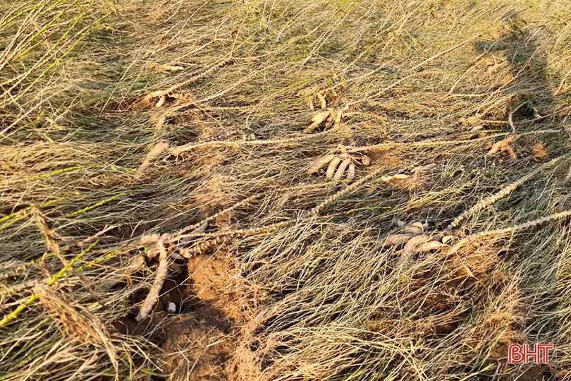 Người dân vùng thượng Kỳ Anh kể chuyện lở núi trong đêm, nhiều khối đá lớn rơi ầm ầm