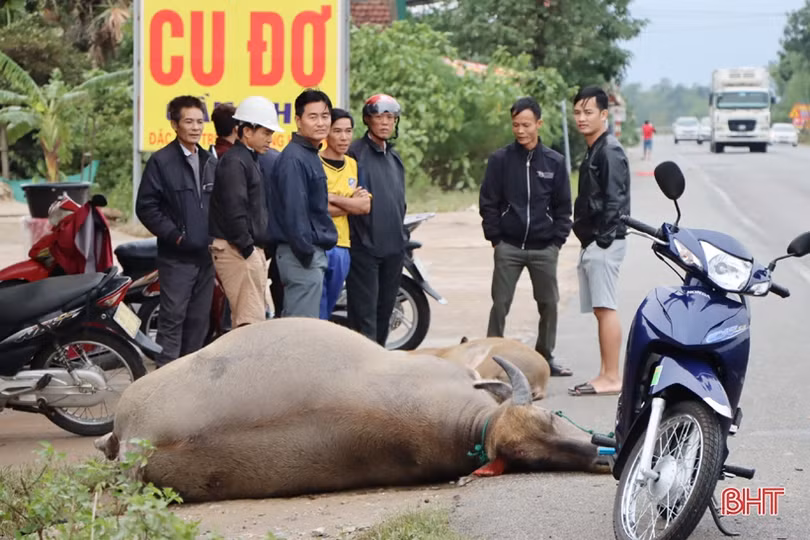 Cẩm Xuyên nhanh tay khắc phục hậu quả lũ lụt