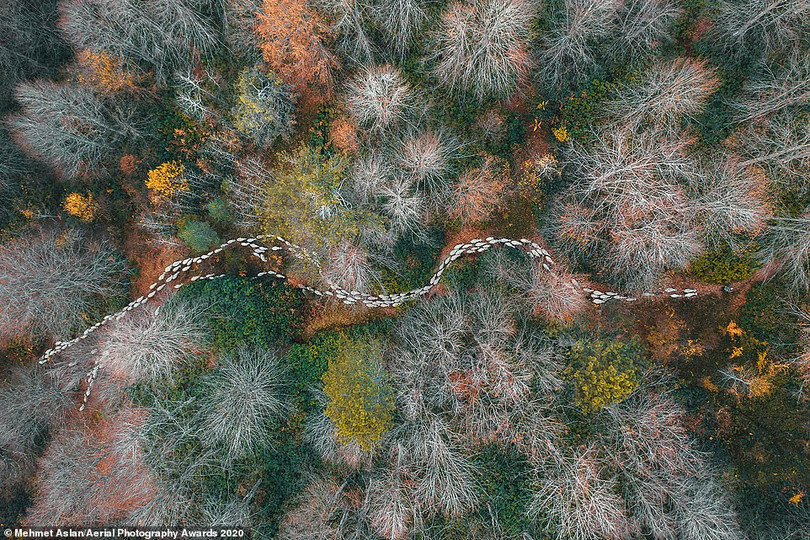Nhiều ảnh chụp Việt Nam đoạt giải Aerial Photography Awards 2020