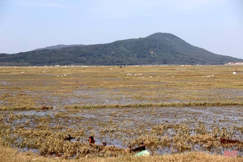 Hơn 1.000 cán bộ, chiến sĩ TX Kỳ Anh giúp dân khắc phục hậu quả mưa lũ