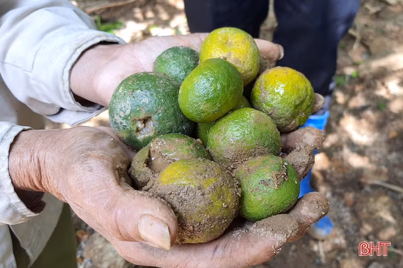 Người dân vùng thượng Kỳ Anh kể chuyện lở núi trong đêm, nhiều khối đá lớn rơi ầm ầm