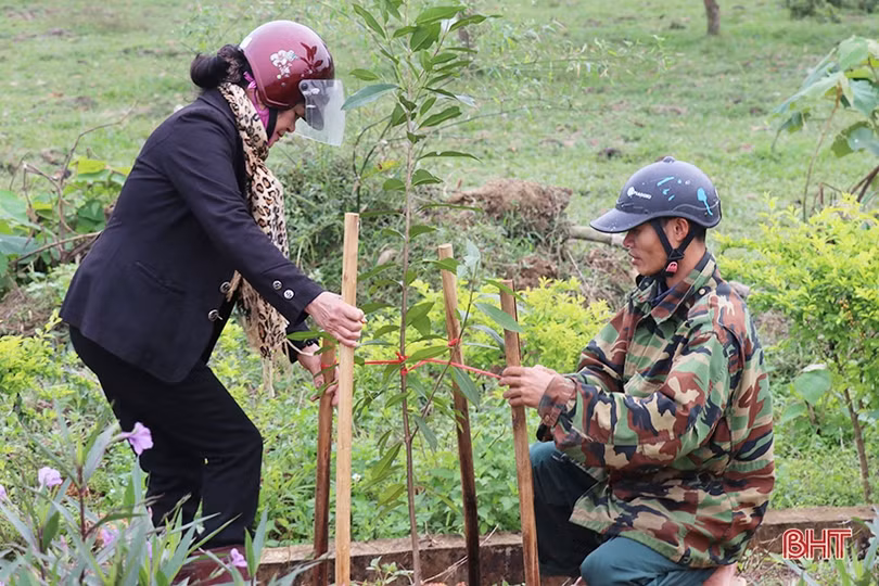 Lãnh đạo Hà Tĩnh tham gia trồng cây đầu xuân Canh Tý tại các địa phương