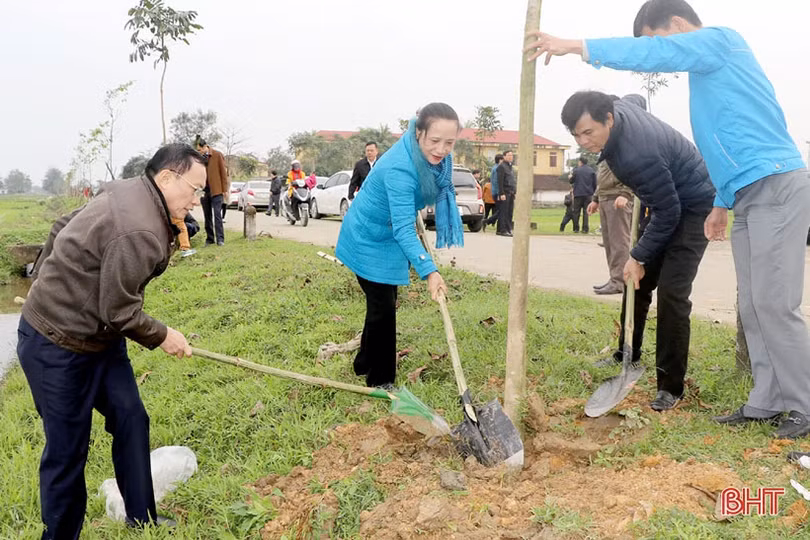 Lãnh đạo Hà Tĩnh tham gia trồng cây đầu xuân Canh Tý tại các địa phương