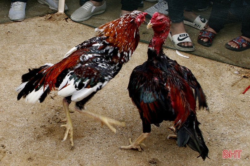 Du khách thích thú trải nghiệm các trò chơi dân gian tại lễ hội Chùa Hương