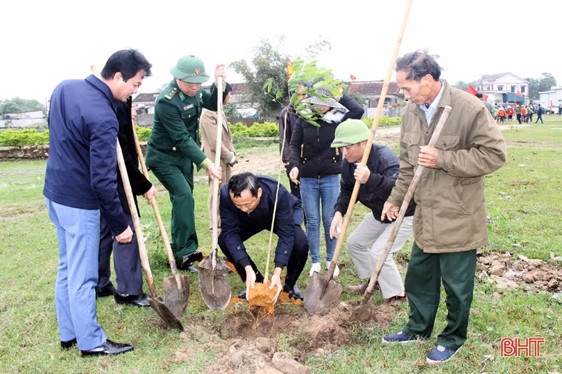 Lãnh đạo Hà Tĩnh tham gia trồng cây đầu xuân Canh Tý tại các địa phương