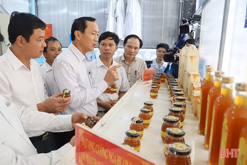 Chương trình OCOP nâng tầm giá trị nông sản Hà Tĩnh