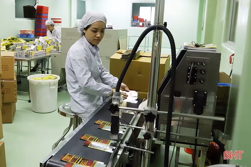 Doanh nghiệp Hà Tĩnh quyết giành thắng lợi ngay ngày đầu, tháng đầu năm mới