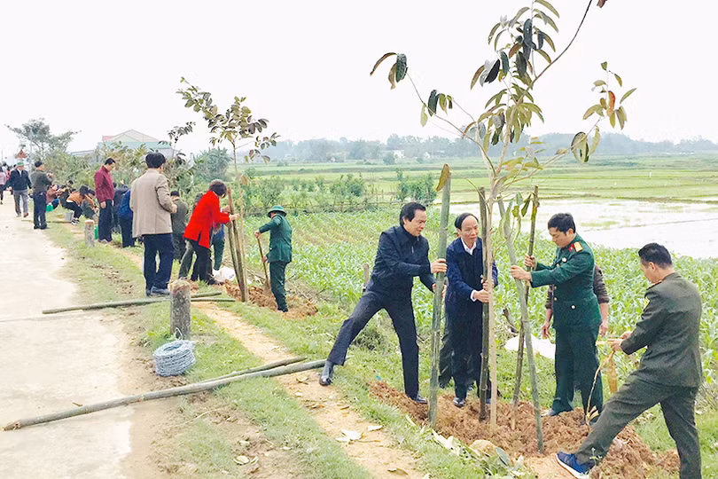 Lãnh đạo Hà Tĩnh tham gia trồng cây đầu xuân Canh Tý tại các địa phương