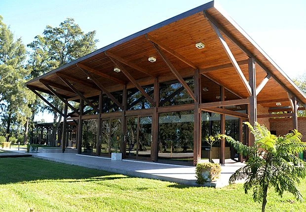 Lionel Messi kiếm tiền nhiều đến mức nào?