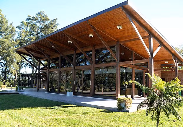 Lionel Messi kiếm tiền nhiều đến mức nào?