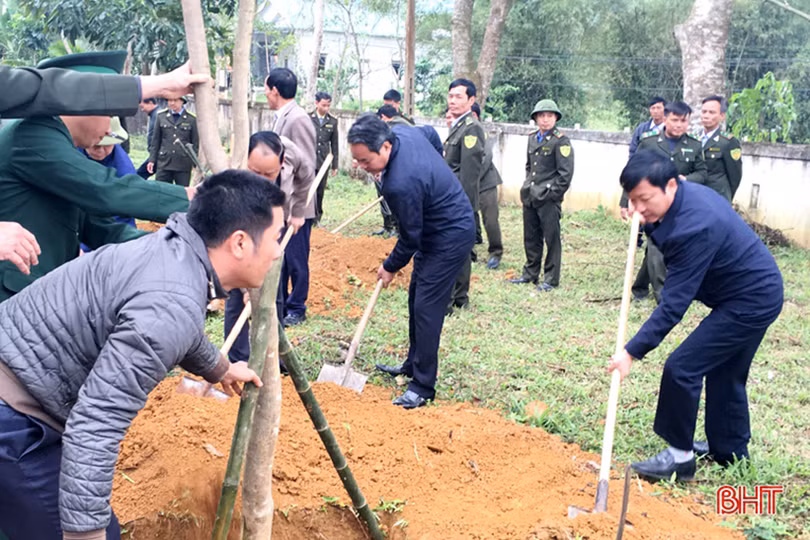 Lãnh đạo Hà Tĩnh tham gia trồng cây đầu xuân Canh Tý tại các địa phương