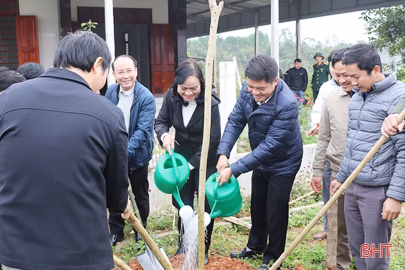 Lãnh đạo Hà Tĩnh tham gia trồng cây đầu xuân Canh Tý tại các địa phương