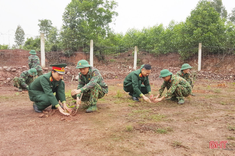 Lực lượng vũ trang Hà Tĩnh trồng hơn 35.000 cây xanh đầu năm