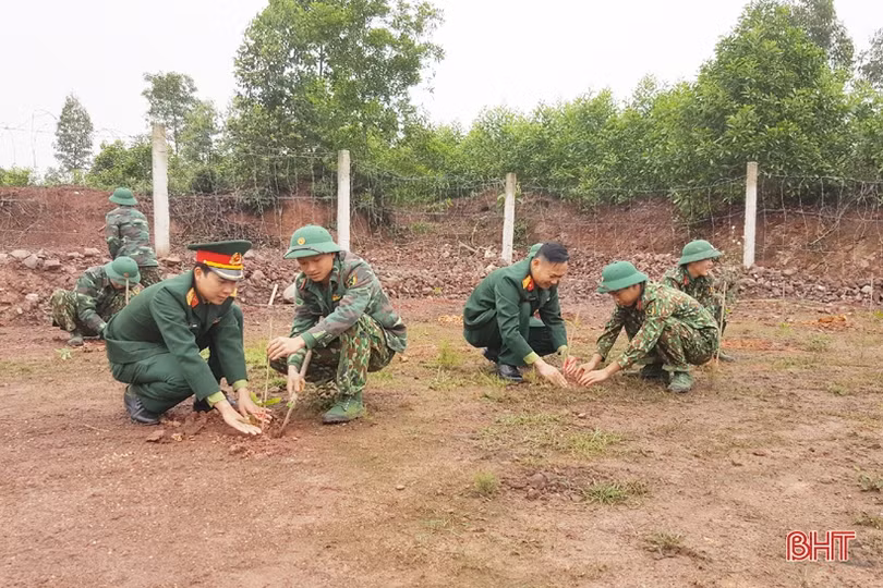 Lực lượng vũ trang Hà Tĩnh trồng hơn 35.000 cây xanh đầu năm