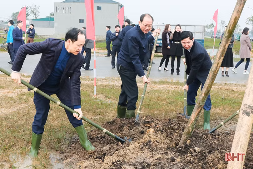 Lãnh đạo Hà Tĩnh tham gia trồng cây đầu xuân Canh Tý tại các địa phương