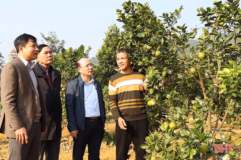 Người dân xã biên giới Hà Tĩnh sắt son niềm tin với Đảng