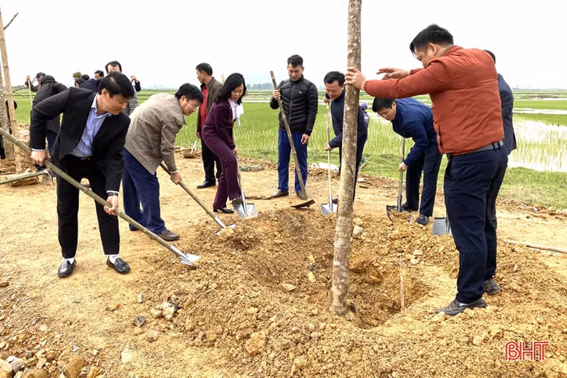 Lãnh đạo Hà Tĩnh tham gia trồng cây đầu xuân Canh Tý tại các địa phương
