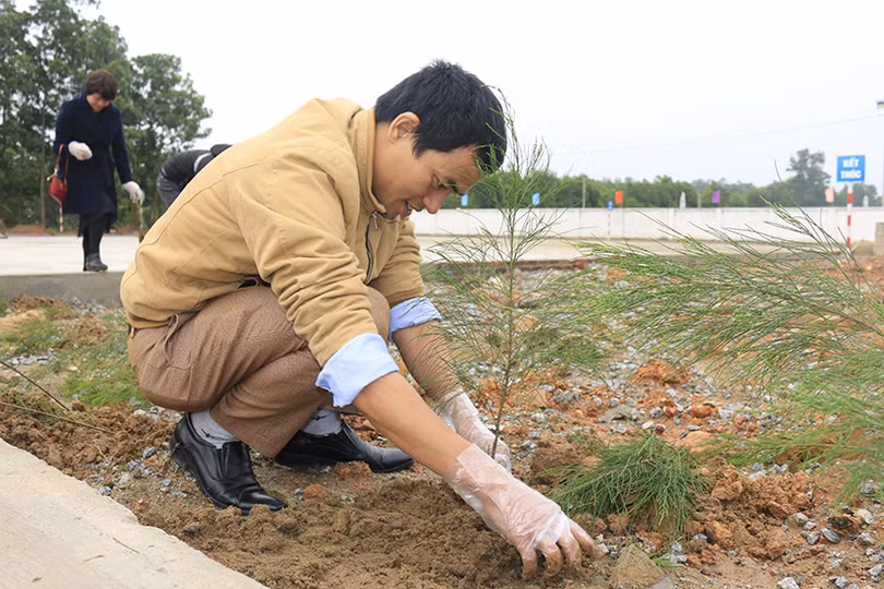 Lãnh đạo Hà Tĩnh tham gia trồng cây đầu xuân Canh Tý tại các địa phương