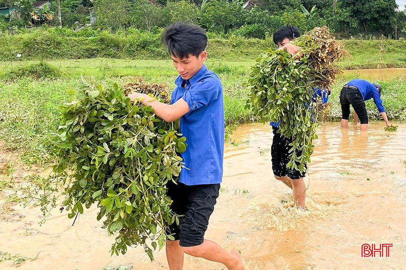 Đoàn viên thanh niên huyện Hương Khê giúp người dân thu hoạch nông sản bị ngập do mưa lũ. bqbht_br_doan-vien-thanh-nien-huyen-huong-khe-giup-nguoi-dan-thu-hoach-nong-san-bi-ngap-do-mua-lu.jpg