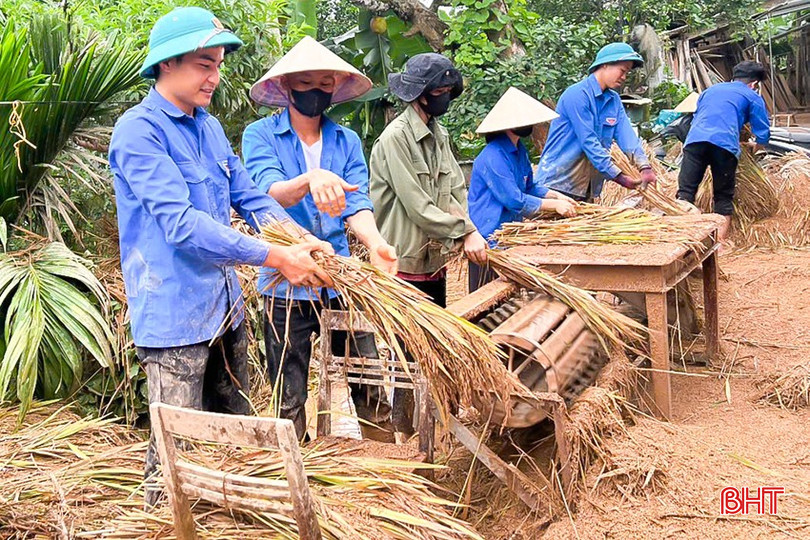 Đoàn viên thanh niên huyện Hương Khê giúp người dân thu hoạch nông sản bị ngập do mưa lũ. bqbht_br_doan-vien-thanh-nien-huyen-huong-khe-giup-nguoi-dan-thu-hoach-nong-san-bi-ngap-do-mua-lu-1.jpg